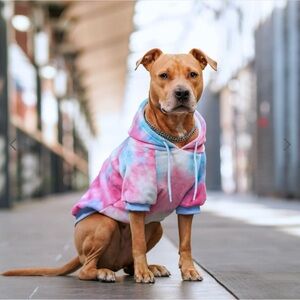 Vibrant Tie-Dye Dog Hoodie